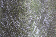 Woodplumpton fibreglass roof work